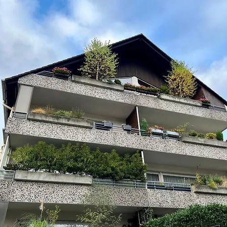 Lichtdurchflutete Grosse アパート