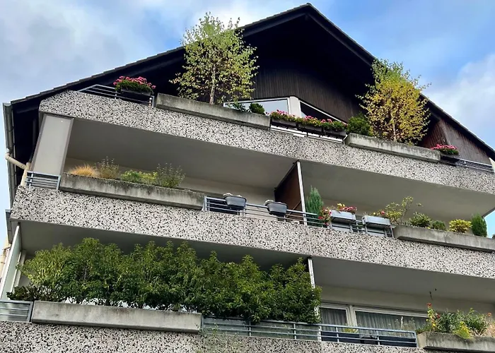 Lichtdurchflutete Grosse アパート